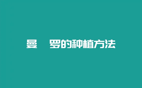 曼陀罗的种植方法-会东网