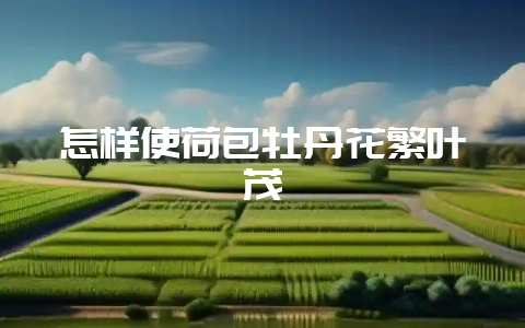怎样使荷包牡丹花繁叶茂-会东网