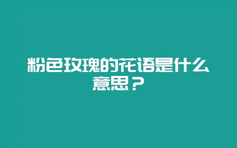 粉色玫瑰的花语是什么意思？-会东网