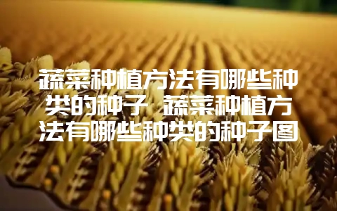 蔬菜种植方法有哪些种类的种子 蔬菜种植方法有哪些种类的种子图片-会东网