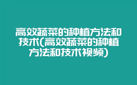 高效蔬菜的种植方法和技术(高效蔬菜的种植方法和技术视频)-会东网
