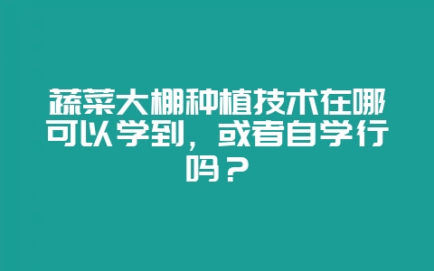 蔬菜大棚种植技术在哪可以学到,或者自学行吗?-会东网