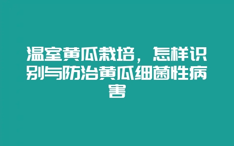 温室黄瓜栽培,怎样识别与防治黄瓜细菌性病害-会东网
