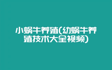 小蜗牛养殖(幼蜗牛养殖技术大全视频)-会东网