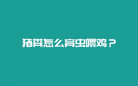 猪粪怎么育虫喂鸡?-会东网