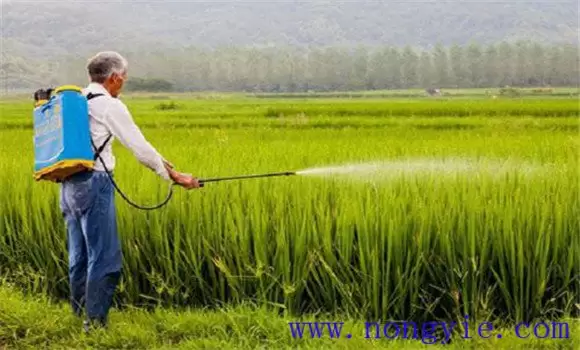 旱育保姆的优点 旱育保姆的优点