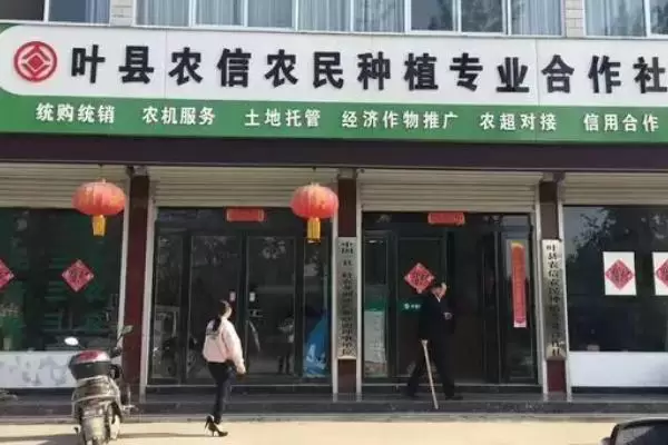 合作社的经营范围有哪些,不同分类下合作社经营范围不同 合作社的经营范围有哪些,不同分类下合作社经营范围不同