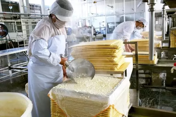 在家加工啥能挣钱,根据实际情况选择合适的项目 在家加工啥能挣钱,根据实际情况选择合适的项目