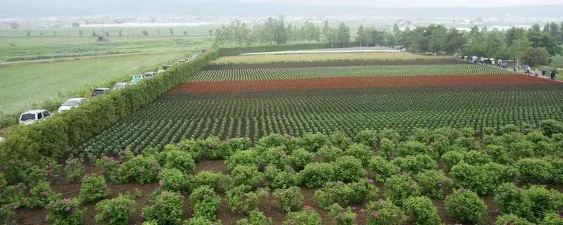 根据现在的发展形势,未来农村投资哪些项目前景不错 根据现在的发展形势,未来农村投资哪些项目前景不错
