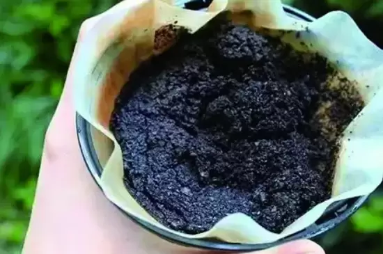 咖啡渣的用途养花 咖啡渣的用途养花