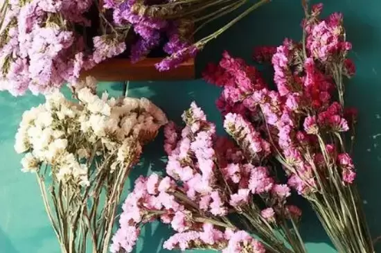 干花制作方法倒挂风干 干花制作方法倒挂风干