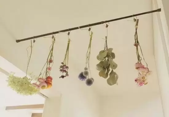 哪些花可以做干花,干花的制作方法 哪些花可以做干花,干花的制作方法