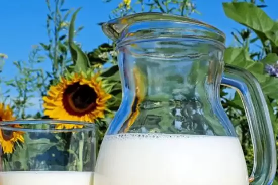 过期牛奶怎么处理才能浇花 过期牛奶怎么处理才能浇花