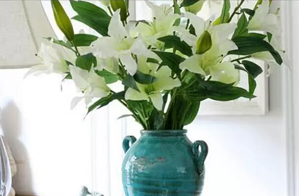 养百合花要放多少水 养百合花要放多少水