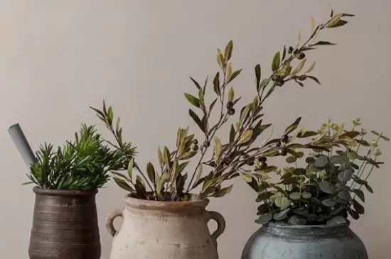 干花会枯萎吗 干花会枯萎吗