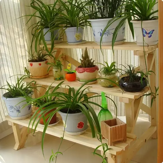 准备好养花工具