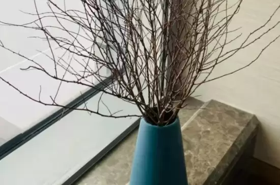 干支雪柳适合什么季节养 干支雪柳适合什么季节养