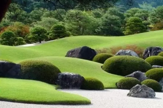 园林树木的常见造景形式有哪些? 园林树木的常见造景形式有哪些?