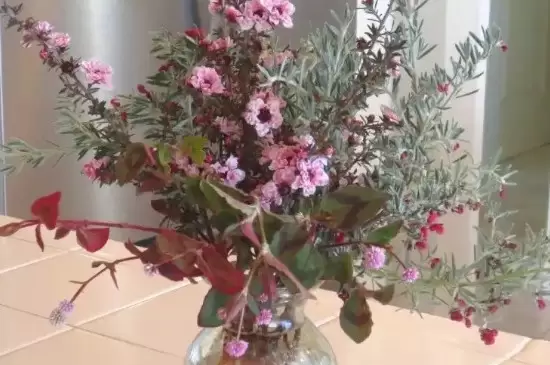 灯台鲜花枝要用水养吗 灯台鲜花枝要用水养吗