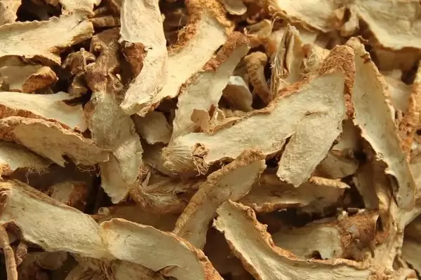 广西适合种哪些药材,部分药材介绍 广西适合种哪些药材,部分药材介绍