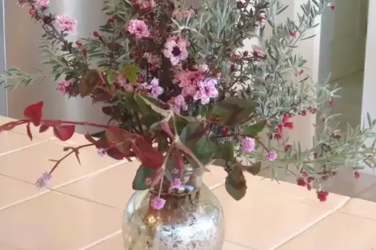 灯台鲜花枝怎么养 灯台鲜花枝怎么养