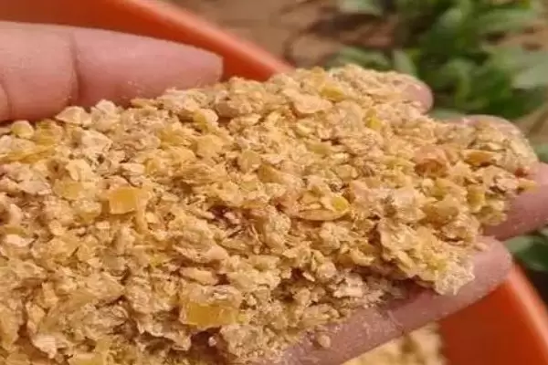 豆粕和豆饼哪个喂养好