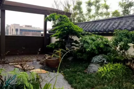 园林树木的常见造景形式有哪些? 园林树木的常见造景形式有哪些?