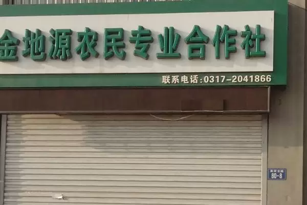 合作社的经营范围有哪些,不同分类下合作社经营范围不同 合作社的经营范围有哪些,不同分类下合作社经营范围不同