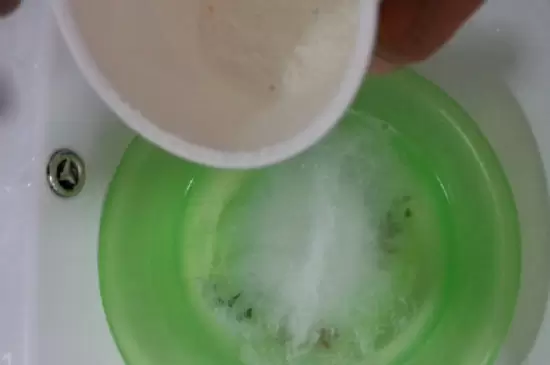 养花有小飞虫如何处理 养花有小飞虫如何处理