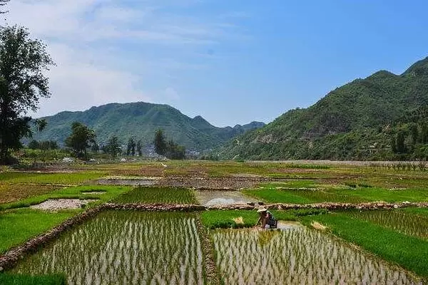 农村干什么行业能挣钱,项目多需选合适自己的 农村干什么行业能挣钱,项目多需选合适自己的