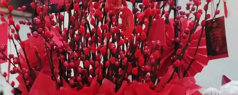 红柳怎么养是水养吗 红柳怎么养是水养吗