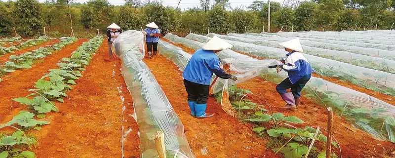 关于农民创业的风险应分为哪几个方面,附详细介绍 关于农民创业的风险应分为哪几个方面,附详细介绍