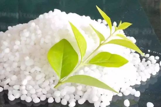 土壤中供植物生长的肥料是什么 土壤中供植物生长的肥料是什么