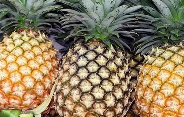 凤梨的功效与作用 凤梨的功效与作用
