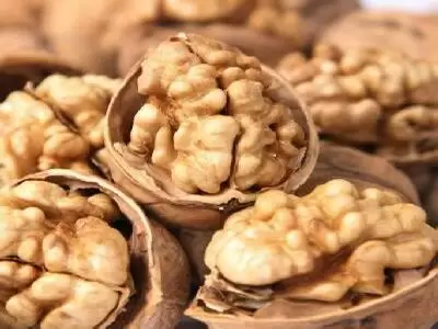 核桃仁的功效与作用 核桃仁的功效与作用