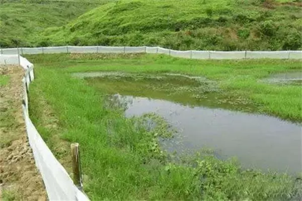 养龙虾需要什么条件 养龙虾需要什么条件
