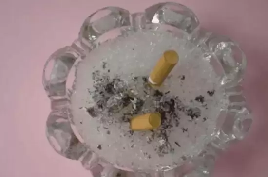 养花有小飞虫如何处理 养花有小飞虫如何处理