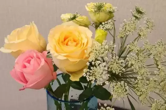 灯台鲜花枝怎么养 灯台鲜花枝怎么养