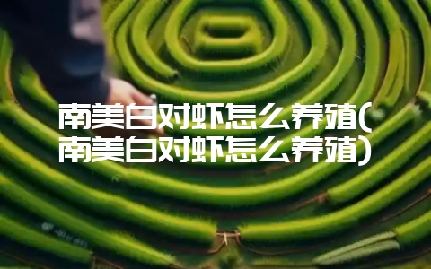 南美白对虾怎么养殖(南美白对虾怎么养殖)-会东网