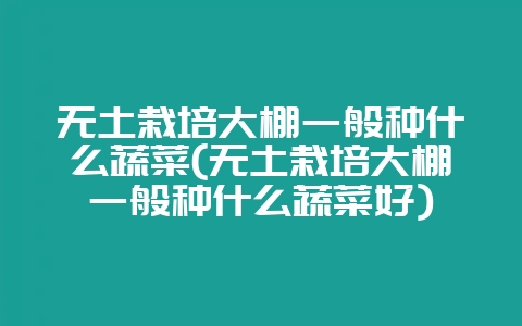 无土栽培大棚一般种什么蔬菜(无土栽培大棚一般种什么蔬菜好)-会东网