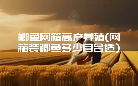 鲫鱼网箱高产养殖(网箱装鲫鱼多少目合适)-会东网
