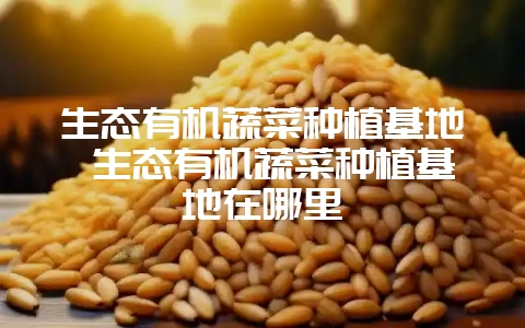 生态有机蔬菜种植基地 生态有机蔬菜种植基地在哪里-会东网