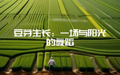 豆芽生长：一场与阳光的舞蹈-会东网