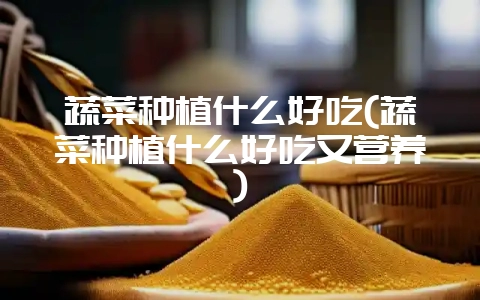 蔬菜种植什么好吃(蔬菜种植什么好吃又营养)-会东网