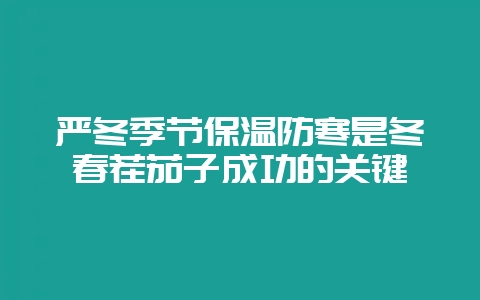 严冬季节保温防寒是冬春茬茄子成功的关键-会东网