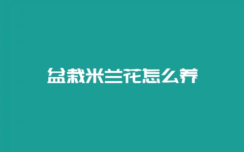 盆栽米兰花怎么养-会东网