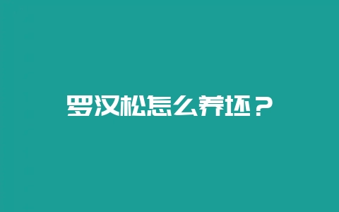 罗汉松怎么养坯？-会东网