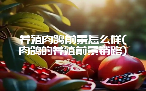 养殖肉鸽前景怎么样(肉鸽的养殖前景销路)-会东网