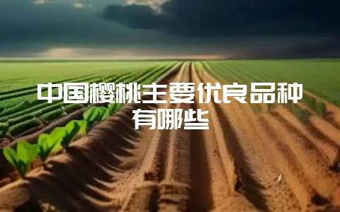 中国樱桃主要优良品种有哪些-会东网