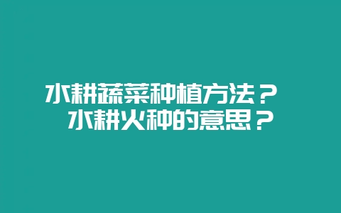 水耕蔬菜种植方法？ 水耕火种的意思？-会东网